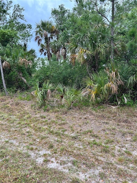 361 Juper St, Port Charlotte, FL 33953