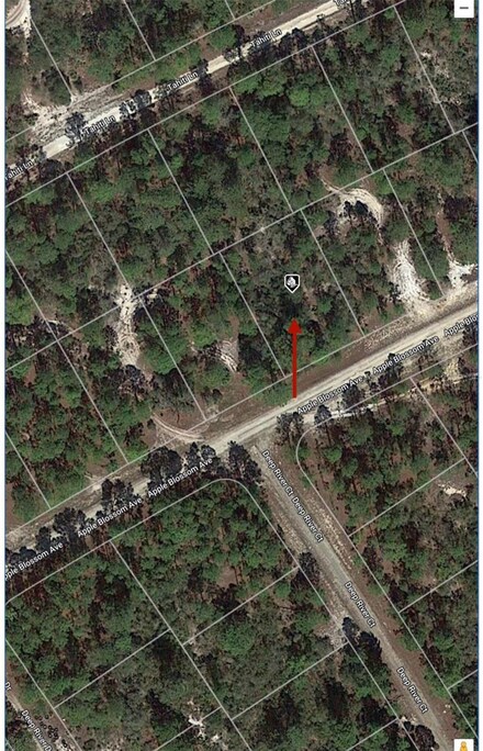 416 Apple Blossom Ave, Lake Placid, FL 33852