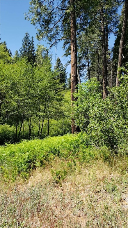 29531 Little Bear Creek Rd, Lake Arrowhead, CA 92321