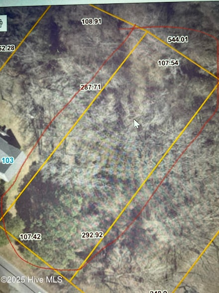 105 Tarheel Dr, Mount Olive, NC 28365