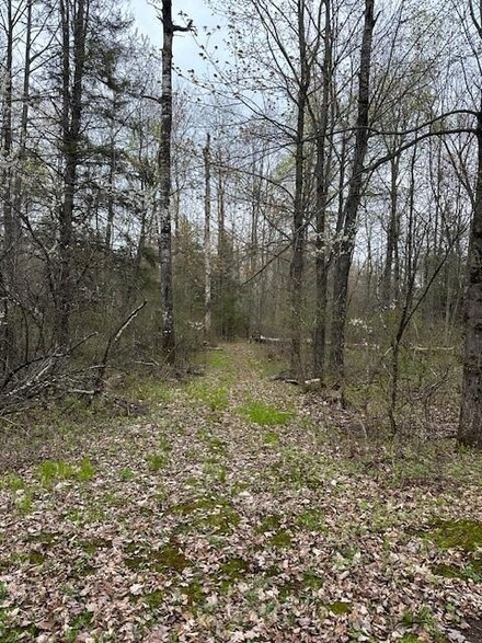 0 Off of Cricket Ln Unit 1581940, Winter, WI 54896