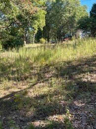 19 Cleveland Ln, Pineville, MO 64856