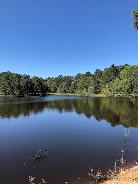 44 Pine Lane Ranch Rd Unit LotWP001, Laurel, MS 39443