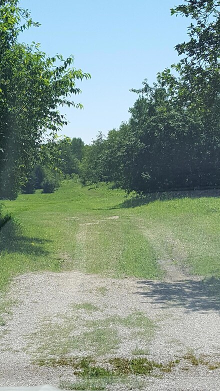 0 W Vertz Rd, Trout Lake Township, MI 49760