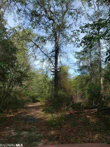 0 Poole Rd, Castleberry, AL 36432
