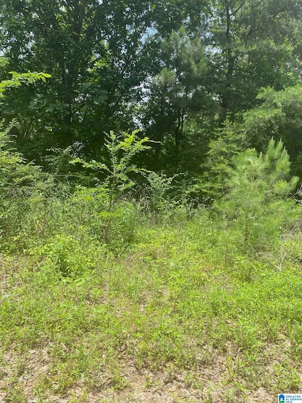 0 Jean Ridge Ln Unit 5 21409329, Odenville, AL 35120