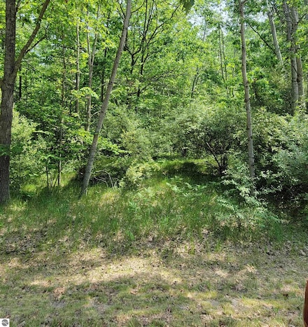 1144 Queensway Dr Unit 463, Lake Isabella, MI 48893