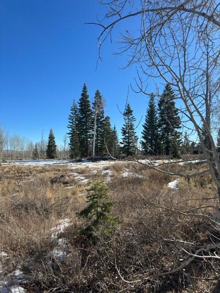 0 Whispering Pines Rd Unit 25-257396, Virgin, UT 84779