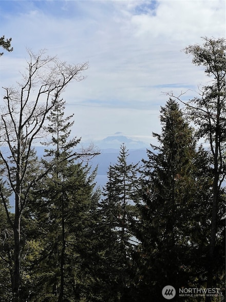 3010 Hales Passage Dr, Lummi Island, WA 98262