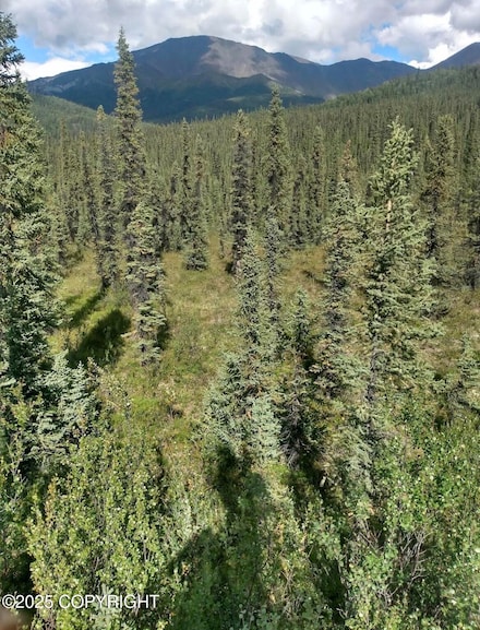 000 Remote, Slana, AK 99586