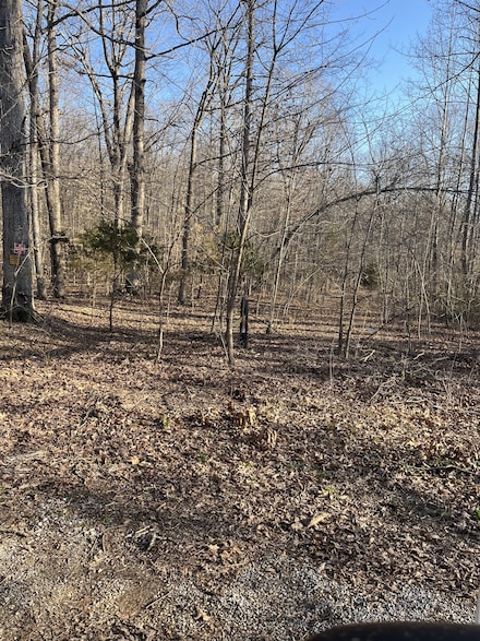 0 Bucksnort Dr, Ashland City, TN 37015
