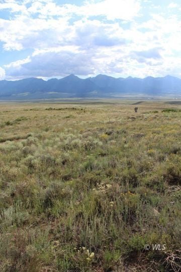 1009 Taos Tr, Westcliffe, CO 81252