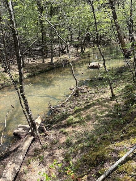 550 Baker Cemetery Rd, Evening Shade, AR 72532