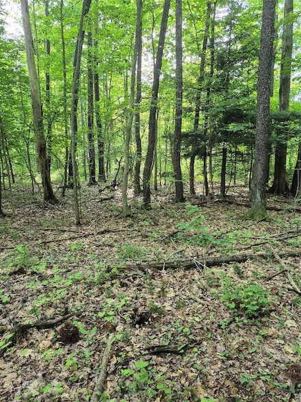 Lot 3 Biscoff Rd, Albion, PA 16401