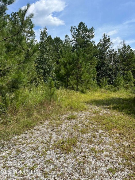 2126 Salem Campground Rd, Lucedale, MS 39452