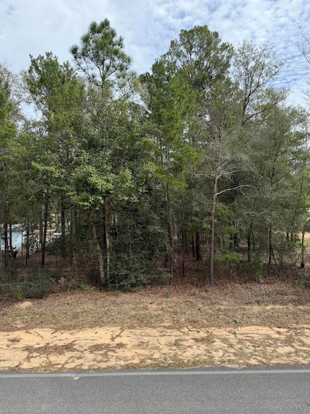 TBD Owens Rd, Defuniak Springs, FL 32433