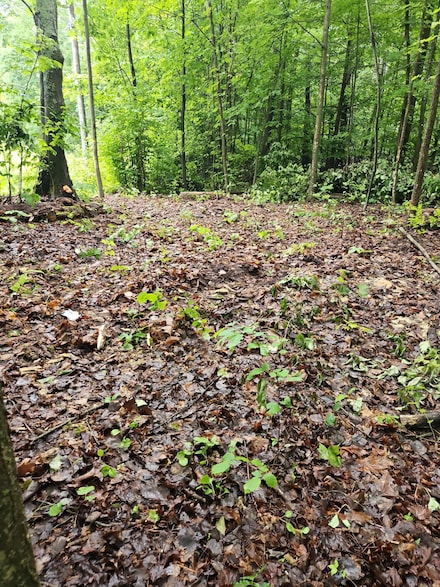 13855 Chippewa Trail, Charlton Township, MI 49751