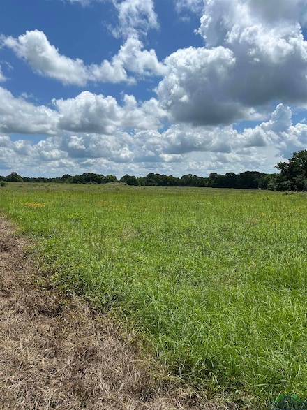 TBD Cr 246, Beckville, TX 75631