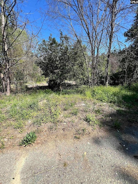 0 E S Fairfield Rd, Columbia, SC 29203