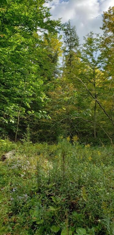 0 Roaring Run Rd Unit EC257155, Gillett, PA 16925