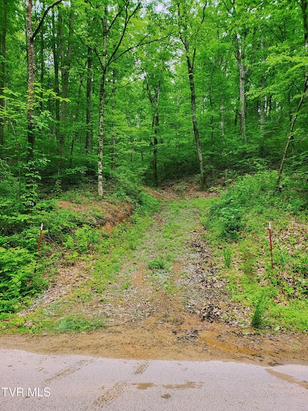 2065 Dyer Hollow Rd, Mohawk, TN 37810