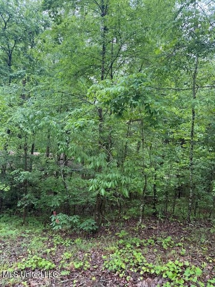 Lot 72 Block B Holiday Hills, Como, MS 38619