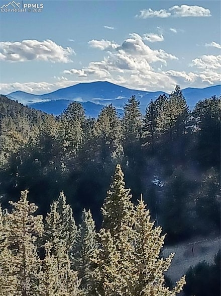 1505 Arapahoe Creek Trail, Florissant, CO 80816