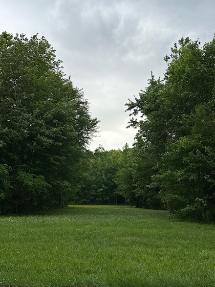 4850 Hyde Rd, Springfield, TN 37172