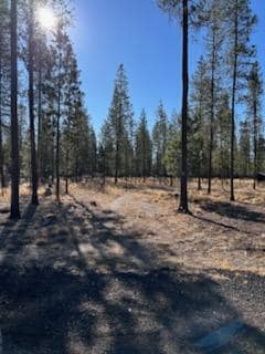 10500 Pinewood Place, La Pine, OR 97739