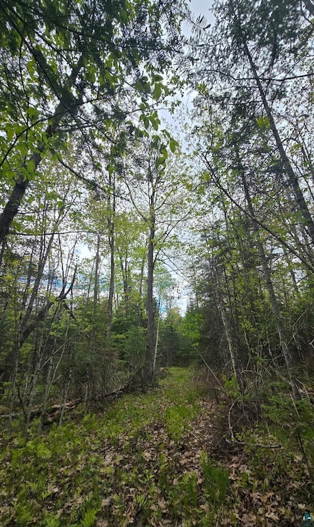 9790 Wisconsin 35, Foxboro, WI 54836