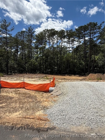 566 Blossom Trail, Lillington, NC 27546