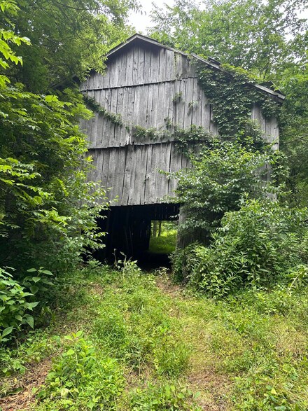 00 Black Sheep Hollow 22 75 Acres, Sneedville, TN 37869