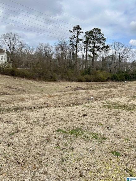 1150 Arden Place Unit Lot 1A, Vestavia Hills, AL 35243