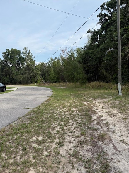 TBD SW 128th Place, Ocala, FL 34473