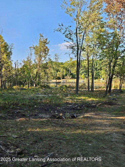 4784-4788 Beech Dr, Douglass Township, MI 48850
