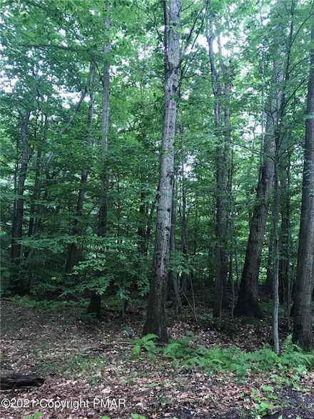 604-605 Wagner Way, Pocono Pines, PA 18350