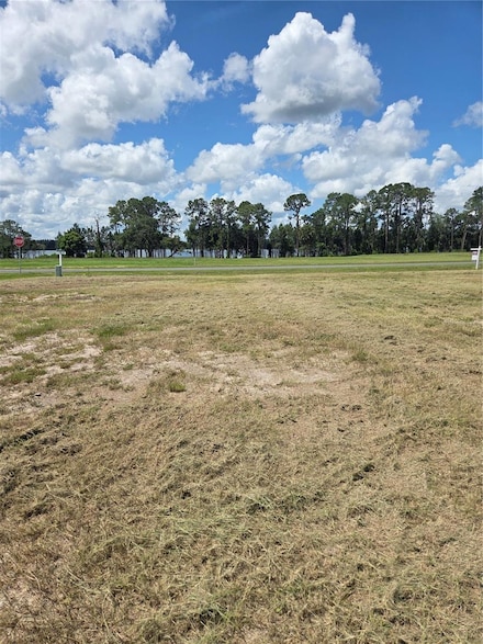 38401 Wooded Meadow Dr, Umatilla, FL 32784