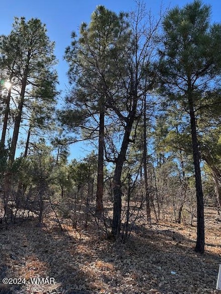 1311 W Snow Creek Trail, Show Low, AZ 85901