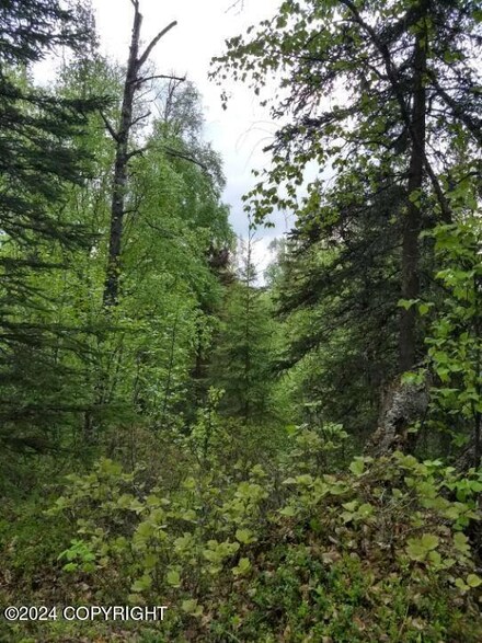 17457 Marion Dr, Big Lake, AK 99654