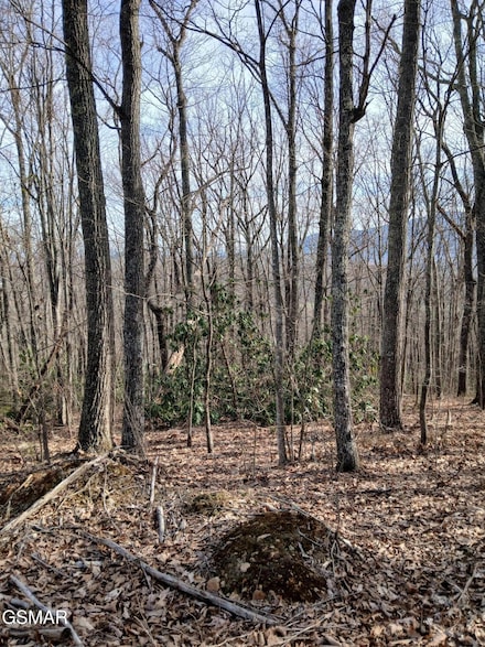 Lt 3R Rocky Ridge Rd, Cosby, TN 37722