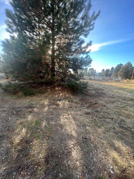 TL 1100 Parkview Dr, Chiloquin, OR 97624