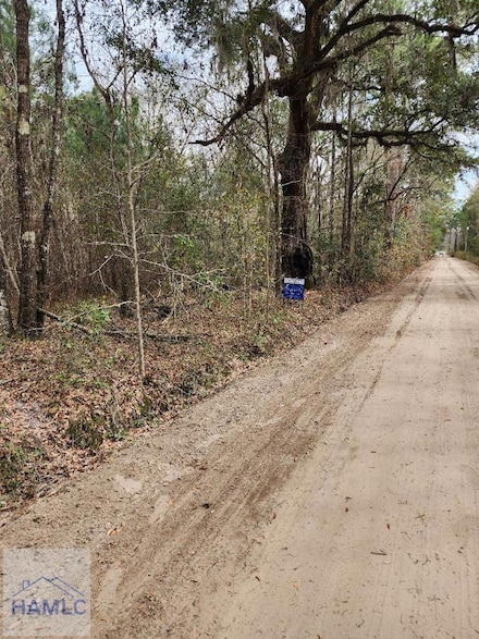 175 U S 17, Midway, GA 31320