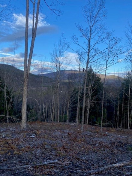 12-12-10-8 Jacob Hall Farm Rd, Rumney, NH 03266