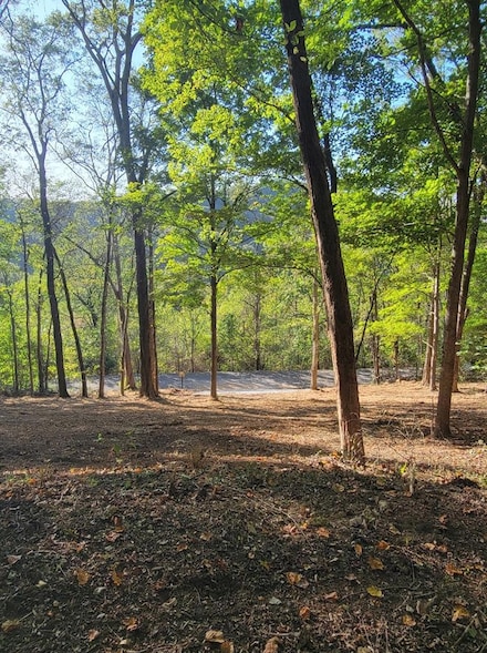 74 Williamson Cir, Smithville, TN 37166