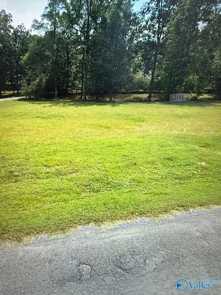 144 Friartuck Way, Fyffe, AL 35971