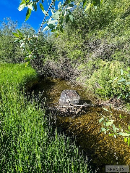 TBD Trumpeter Rd, Swan Valley, ID 83449