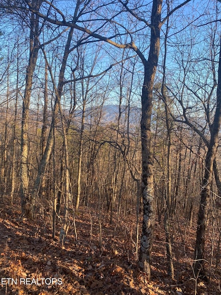 D-7 Lightning Bug Way, Gatlinburg, TN 37862