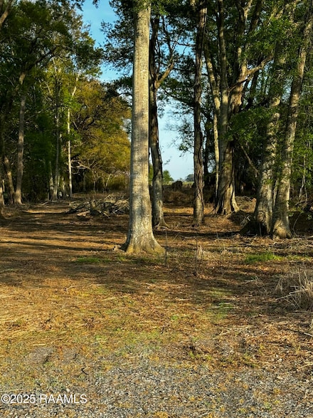 867 Saint Peter St, Jeanerette, LA 70544