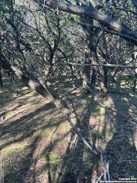 TBD 19th St, Pipe Creek, TX 78063