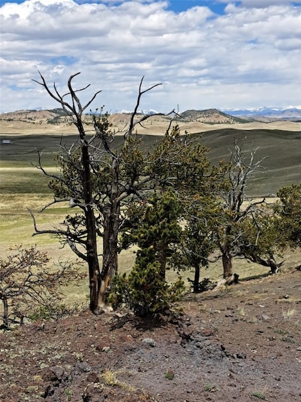 5250 Uxta Trail, Hartsel, CO 80449